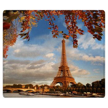 Eiffel Tower With Autumn Leaves In Paris France Bath Mat