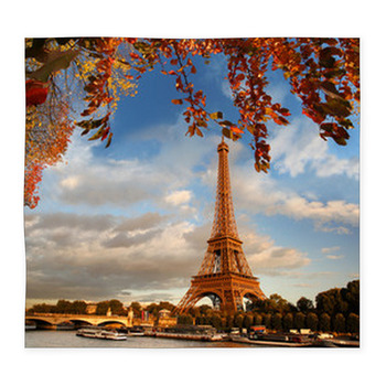 Eiffel Tower With Autumn Leaves In  Custom Size Floor Mat