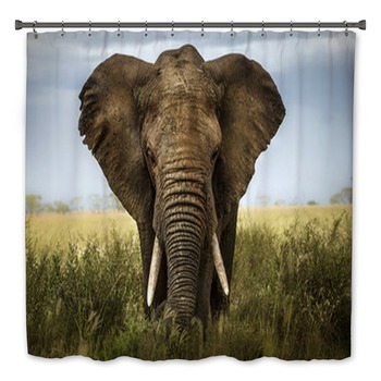 Elephant Bath Decor