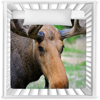 Elk Baby Crib Comforter