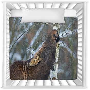 Elk Baby Crib Comforter