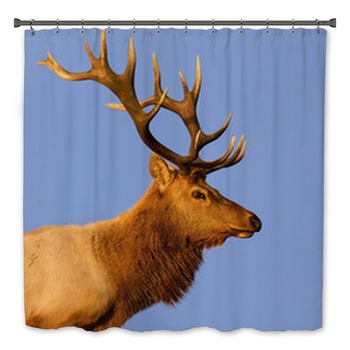 Elk Bath Decor