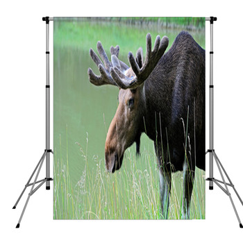 Elk Pole Pocket Backdrop