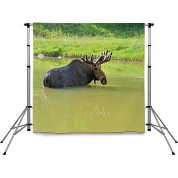 Elk Pole Pocket Backdrop