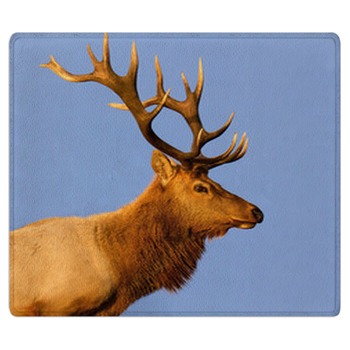 Elk Rugs