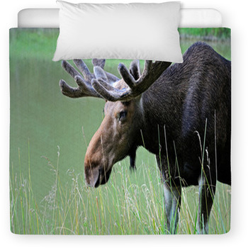 Elk Toddler Comforter