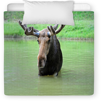 Elk Toddler Comforter