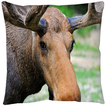 Moose pillow cover clearance
