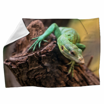 Emerald Tree Monitor, Varanus Prasinus, Fleece Blanket