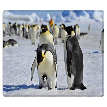 Emperor Penguin Area Rug