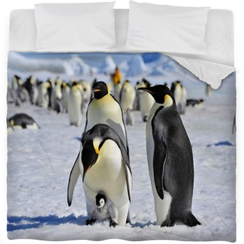 Emperor Penguin Fleece Bed Blanket