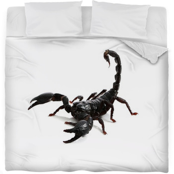 Emperor Scorpion ( Pandinus Fleece Bed Blanket