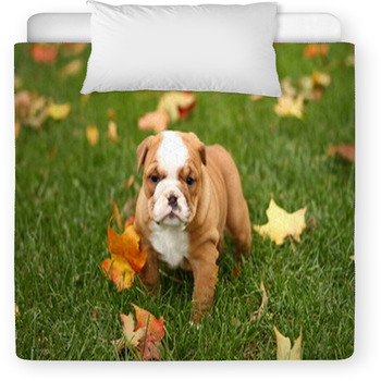 English Bulldog In Grass With Leaves Toddler Comforter