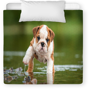 English Bulldog Puppy In The Water Toddler Comforter