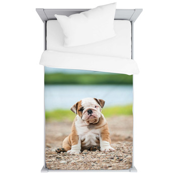 English Bulldog Puppy Sitting Near The Toddler Duvet