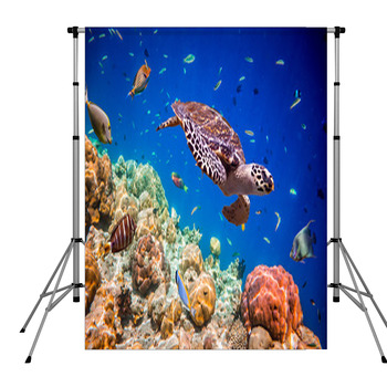 Eretmochelys Imbricata Pole Pocket Backdrop