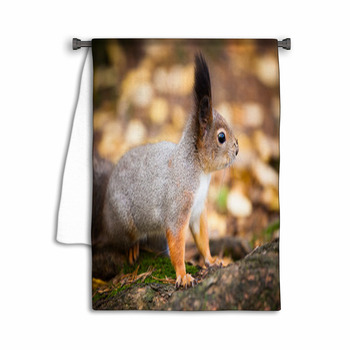 Eurasian Red Squirrel In The Wild Towel
