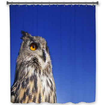 European Eagle Owl Shower Curtain