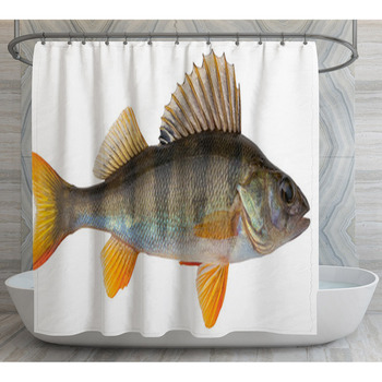 European Perch Known As The Common Redfin  Shower Curtain