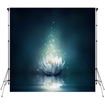 Fairy Tale Backdrops