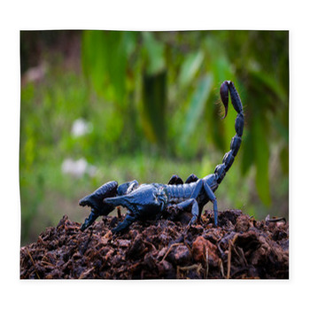 Faithful Dangerous Scorpions. Custom Size Floor Mat