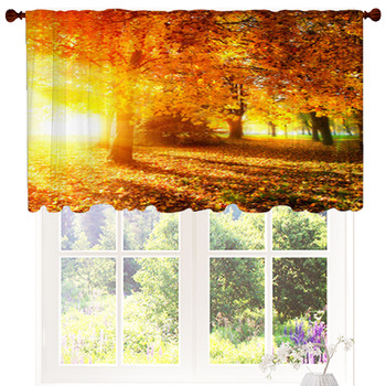 Fall. Autumnal Park. Autumn Trees Custom Size Valance