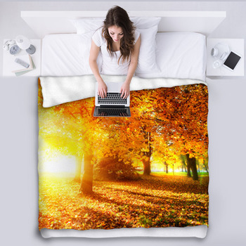 Fall. Autumnal Park. Autumn Trees And Fleece Blanket