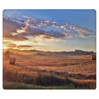 Farm Rugs