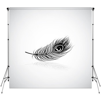 Feather Backdrops