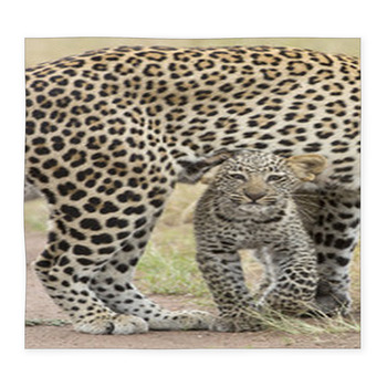 Female African Leopard Walking Custom Size Floor Mat