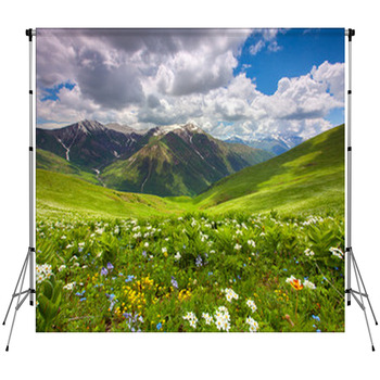 Fields Of Flowers In The Custom Size Backdrop