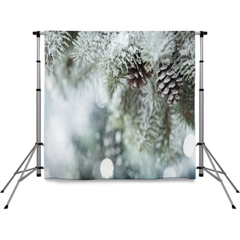 Fir Branch On Snow Pole Pocket Backdrop