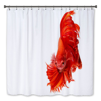 Fish Bath Decor