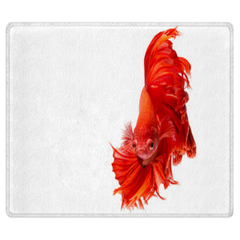 Fish Rugs
