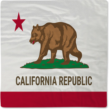 Flag Of California American State Vector Baby Blanket