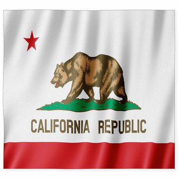 Flag Of California Custom Size Floor Mat