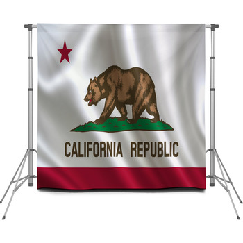 Flag Of The State California A Custom Size Backdrop