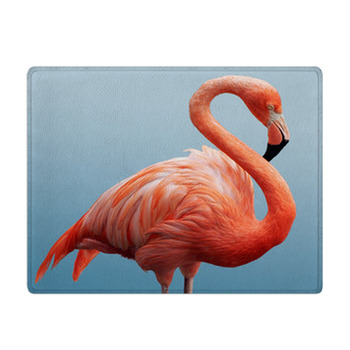 Flamingo Bath Mat