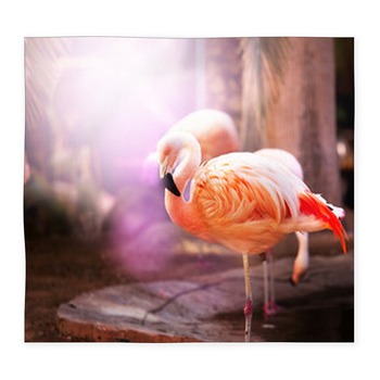 Flamingo Custom Size Floor Mat