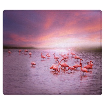 Flamingo Rugs