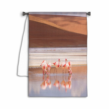 Flamingos And Sand Dunes Bolivia Towel