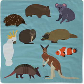 Flat Design Animals Of Australia Baby Blanket
