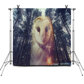  Fleece Backdrop