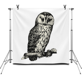  Fleece Backdrop