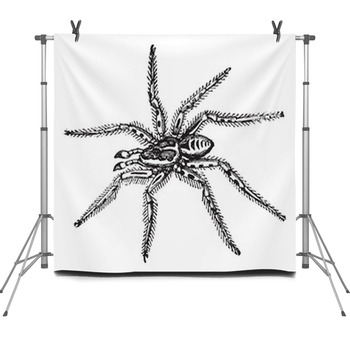  Fleece Backdrop