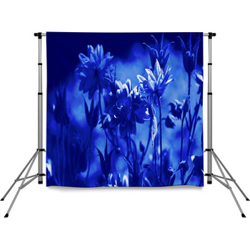 Fleurs Plants En Couleur Bleu 2020  Pole Pocket Backdrop