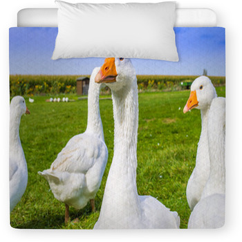 Flock Of Free Range Geese Toddler Duvet