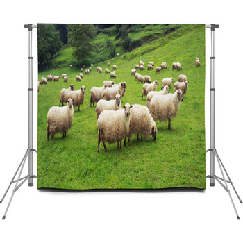 Flock Of Sheep Custom Size Backdrop