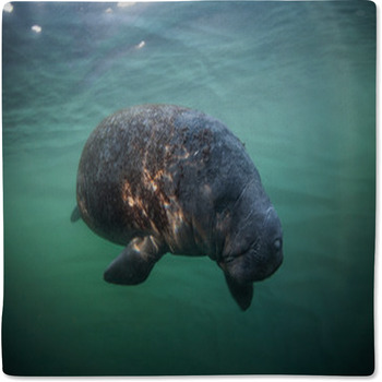 Manatee Baby Blankets Toddler Bedding Personalized