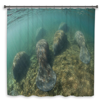 Manatee Shower Curtains Mats Towels Personalize